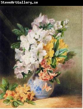 unknow artist Floral, beautiful classical still life of flowers.031